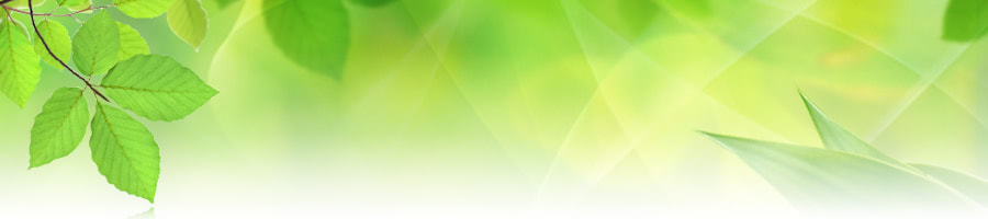 �Љ�ی��J���m�E�s�����m�@�R��q�F�������@�@�@�@���I�t�B�X�R�쁄